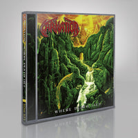 Carnation - Where Death Lies [CD / Vinyl] thumbnail 2