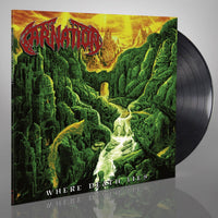 Carnation - Where Death Lies [CD / Vinyl] thumbnail 3