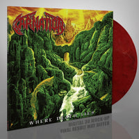 Carnation - Where Death Lies [CD / Vinyl] thumbnail 1