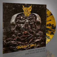 Defeated Sanity - Chronicles of Lunacy [CD / Vinyl] thumbnail 1