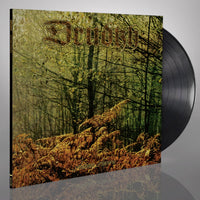 Drudkh - Autumn Aurora [CD / Vinyl / Tape] thumbnail 2