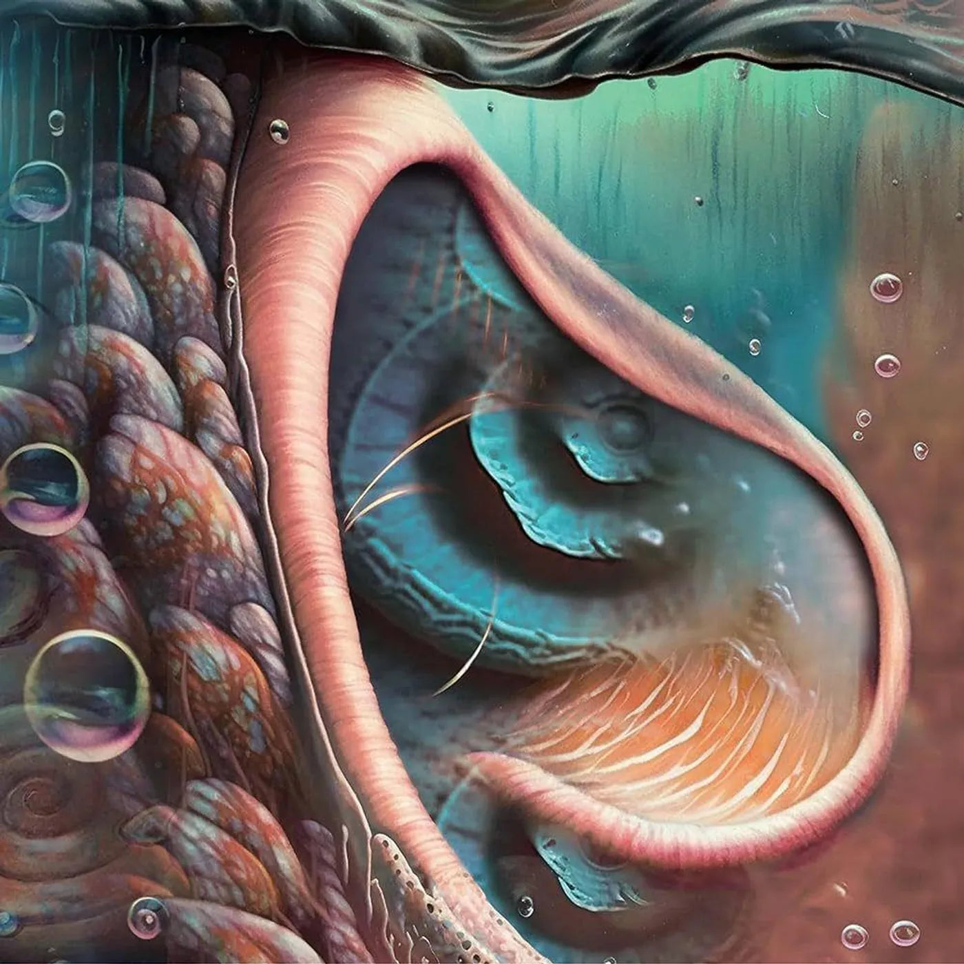 Various Artists - Meddle Reimagined: A Tribute To Pink Floyd