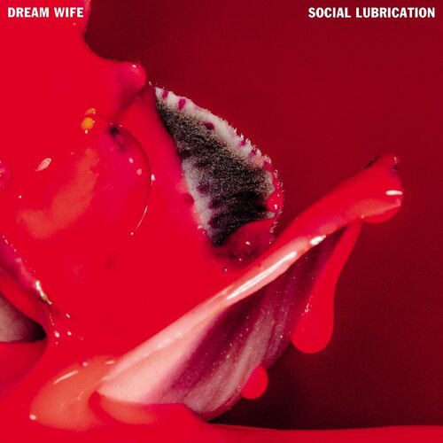 Dream Wife - Social Lubrication