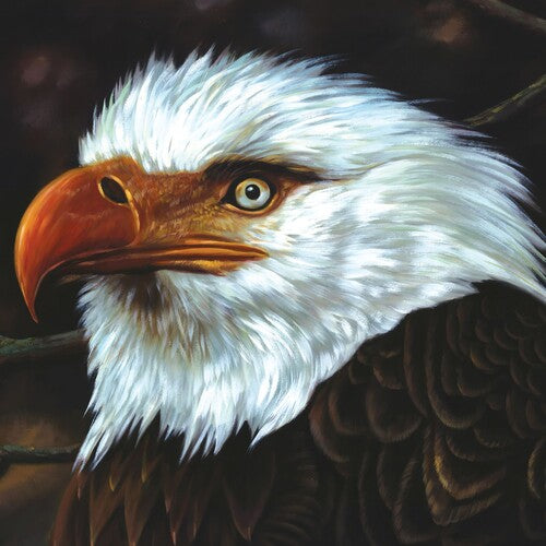Mogwai - Hawk Is Howling