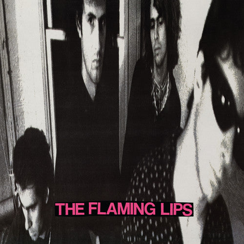 The Flaming Lips - In A Priest Driven Ambulance