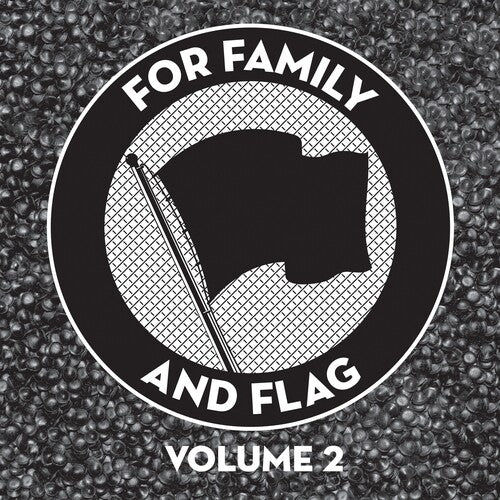 Various Artists - For Family And Flag 2 (Various Artists)