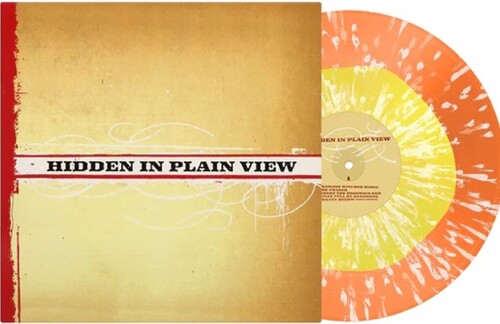 Hidden in Plain View - Hidden In Plain View